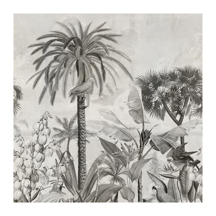 Set 4 Role Tapet Paradisse Birds - gray, Multicolor, 3 x 0.52 m