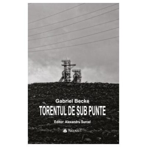 Torentul de sub punte, Gabriel Becke