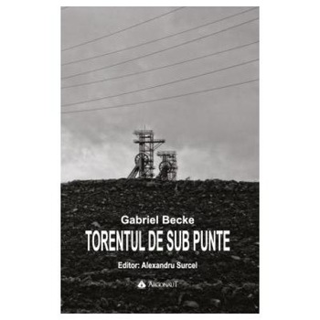 Torentul de sub punte, Gabriel Becke Torentul de sub punte, Gabriel Becke