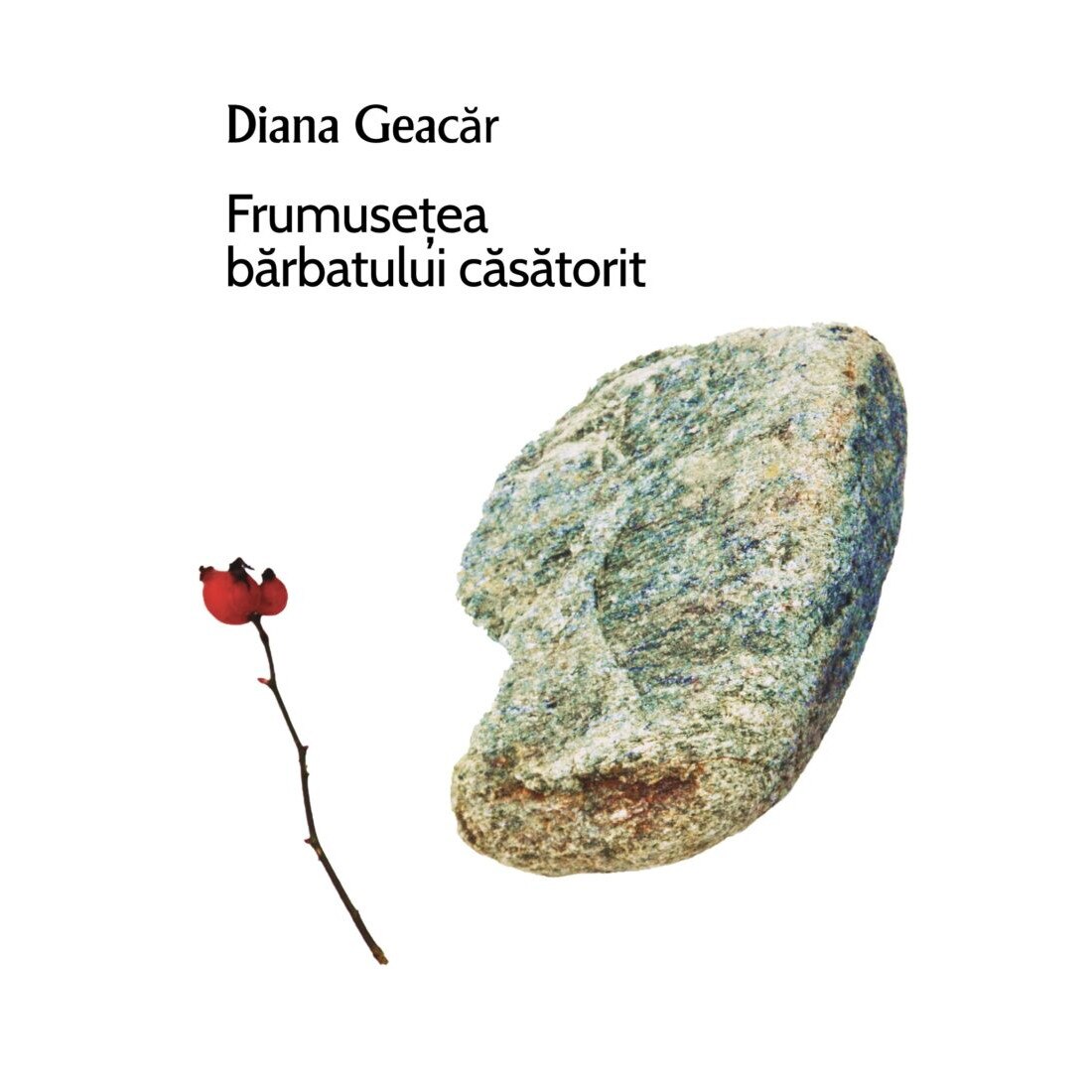 Frumusetea barbatului casatorit - Diana Geacar