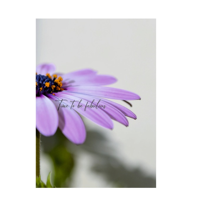 Caiet tip Bullet Journal "be fabulous", A5,puncte interior, PaperYork, 38 file