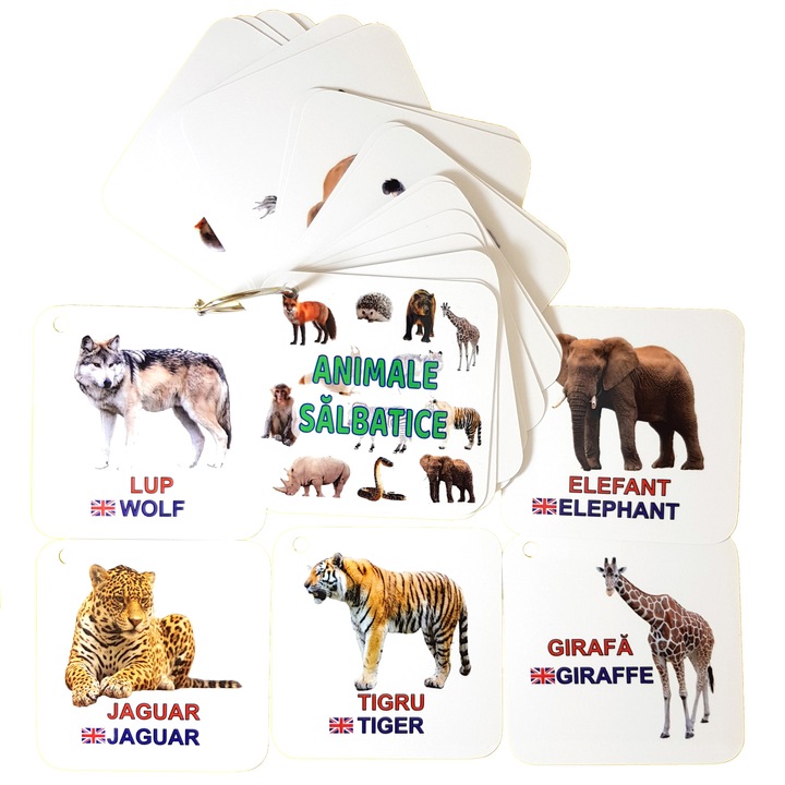 Set de 24 de cartonase pe inel - Animale salbatice