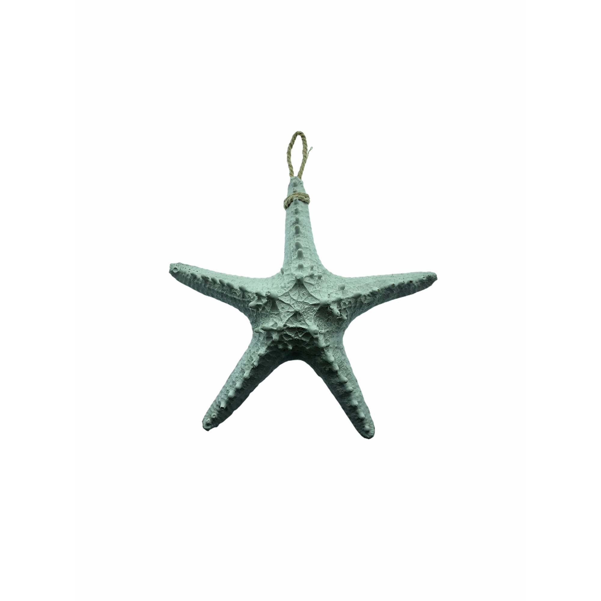 Stea de mare decorativa, Atelier, Alb, 23cm