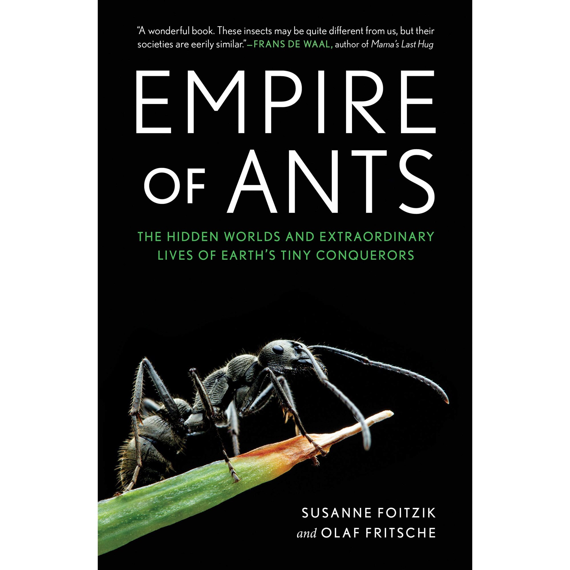 Empire of Ants - Susanne FoitzikOlaf Fritsche