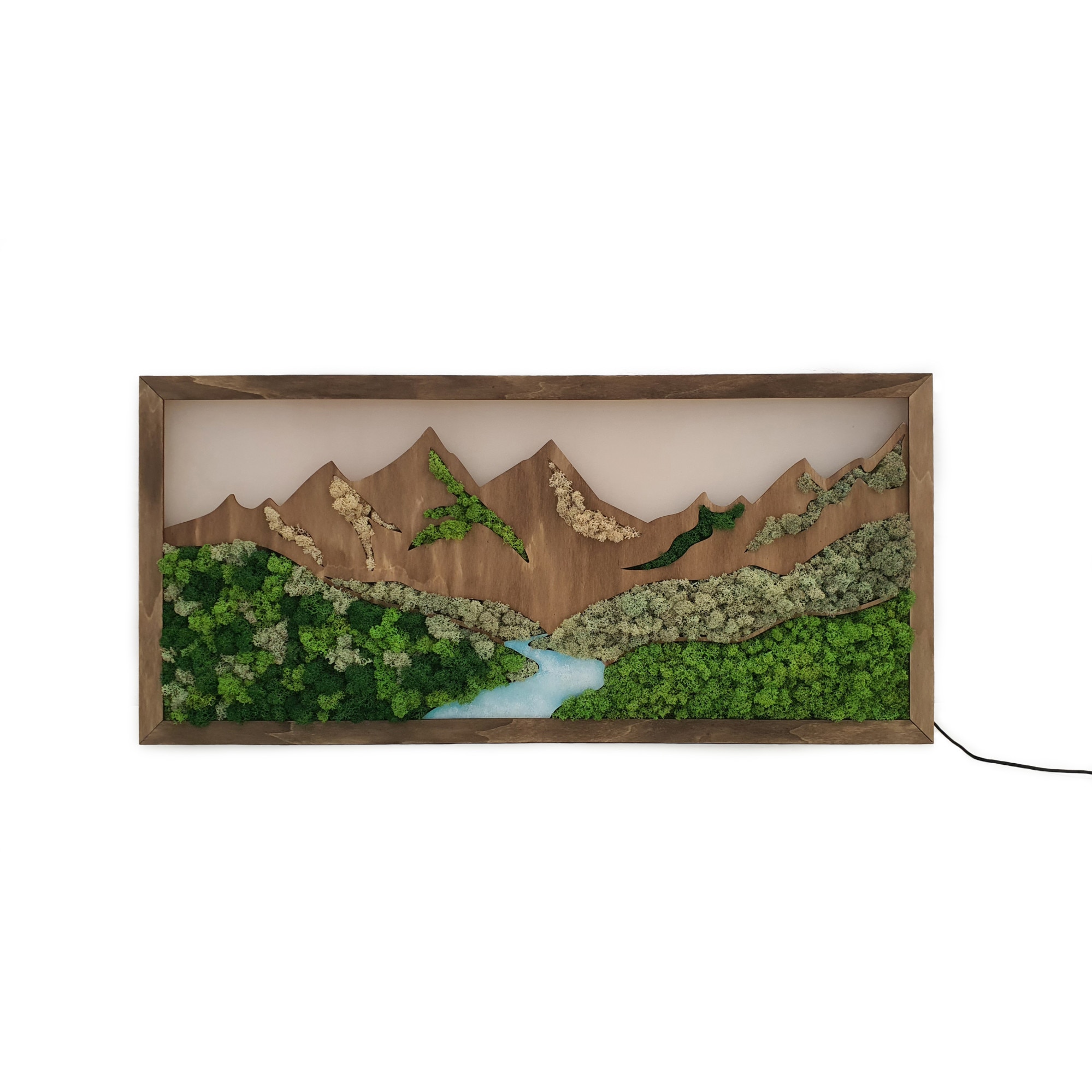 Tablou lemn cu licheni stabilizati, iluminat LED, 80 cm x 38 cm