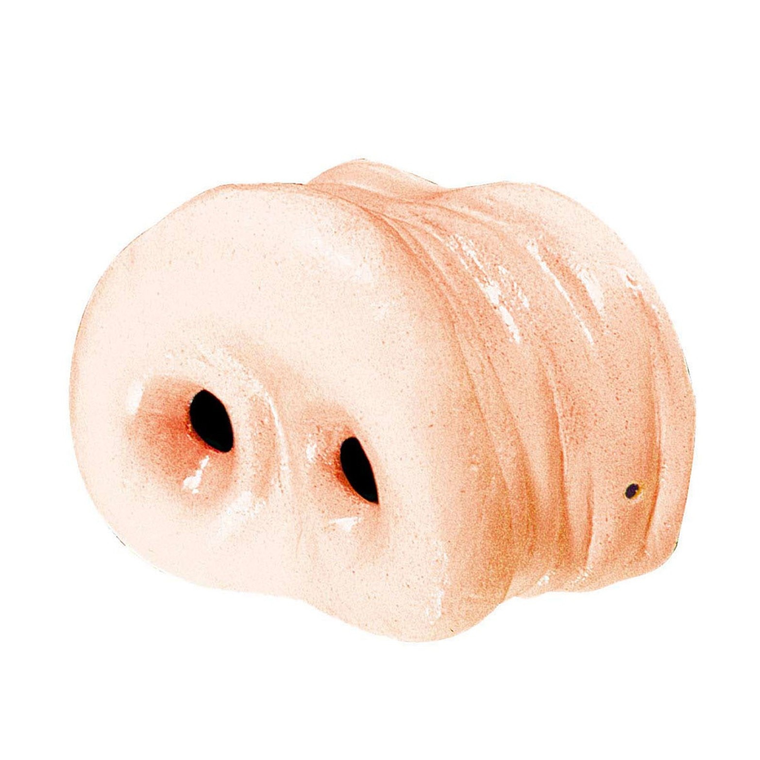 Nas Porcusor Widmann 2308M