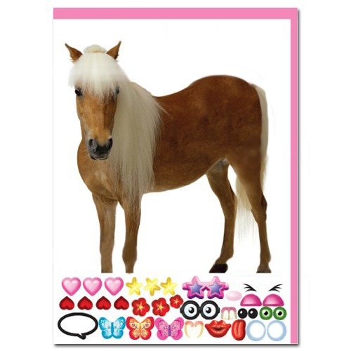 Felicitare amuzanta Little Extra Ponei