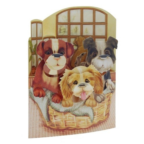 Catelusi in cosulet - Felicitare 3D Swing Cards