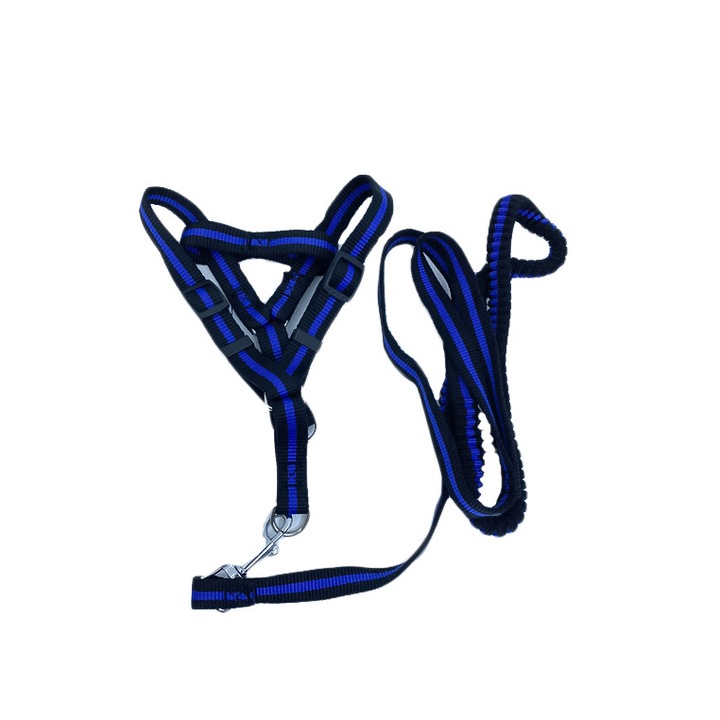 Lesa cu ham Baxter pentru caini de talie mica, rezistenta,ajustabila,amortizor,125 cm, albastru/negru, Doty