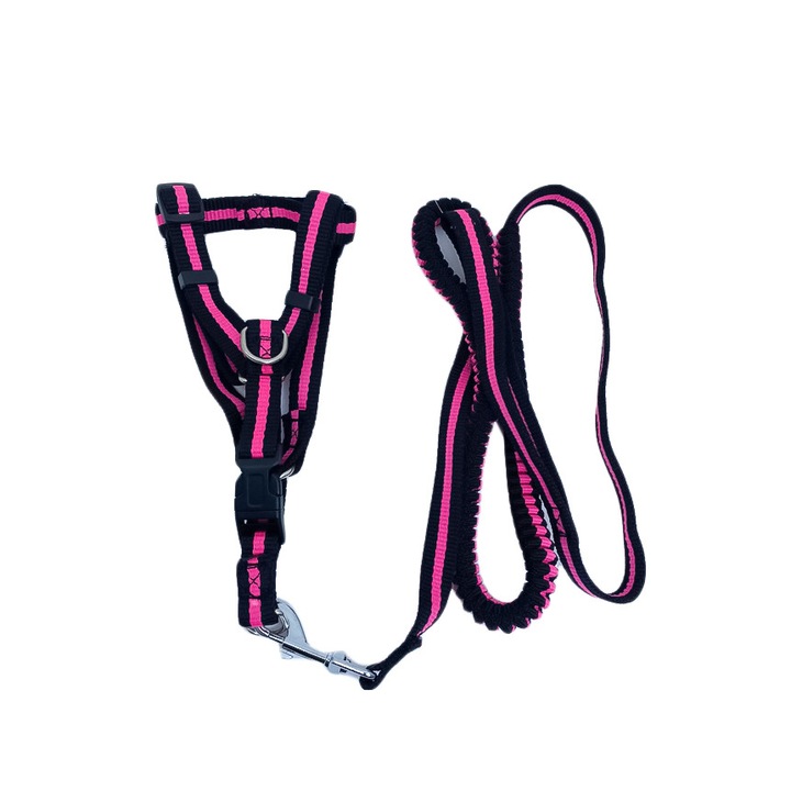 Lesa cu ham Baxter pentru caini de talie mica, rezistenta,ajustabila,amortizor,125 cm, roz/negru, Doty