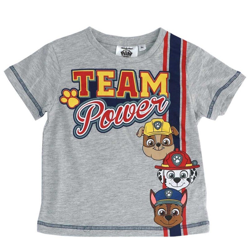 Tricou maneca scurta Paw Patrol, Team Power 9328, Gri