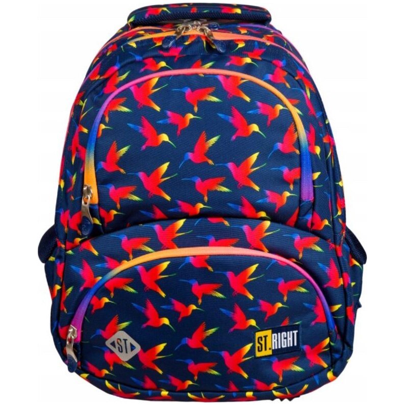 Ghiozdan St.Right BP-07 20*30*42cm, cadou penar St.Right RAINBOW BIRDS