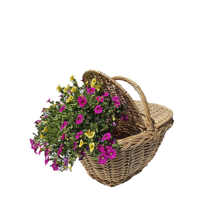 Cos picnic din rachita traditional cu capac, oval, 47x41x30