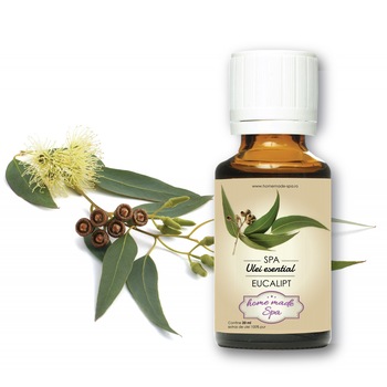 Ulei esential de Eucalipt (Eucaliptus Globulus) 10 ml, Homemade Spa® Ulei esential de Eucalipt (Eucaliptus Globulus) 10 ml, Homemade Spa®