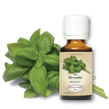 Ulei esential de Busuioc (Ocimum Basilicum) 10 ml, Homemade Spa Ulei esential de Busuioc (Ocimum Basilicum) 10 ml, Homemade Spa