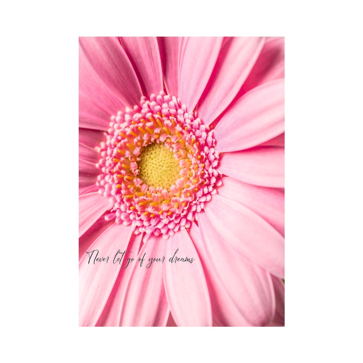 Caiet tip Bullet Journal "Never let go", A5,puncte interior, PaperYork, 38 file