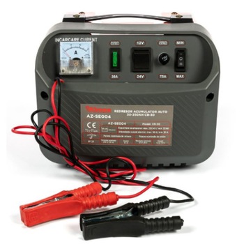 Robot redresor auto 12-24V,250Ah,Model 2021 Robot redresor auto 12-24V,250Ah,Model 2021