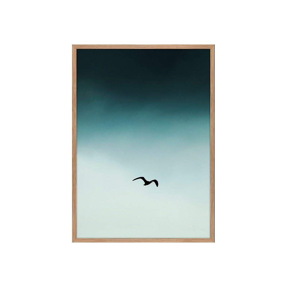 Tablou SEAGUL BLUE, 30 x 40 cm