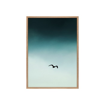 Tablou SEAGUL BLUE, 30 x 40 cm Tablou SEAGUL BLUE, 30 x 40 cm
