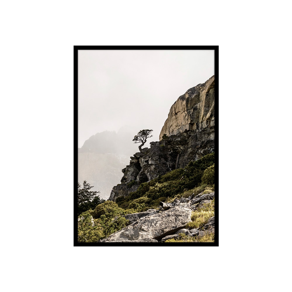 Tablou ALU HIGHLAND, 50 x 70 cm