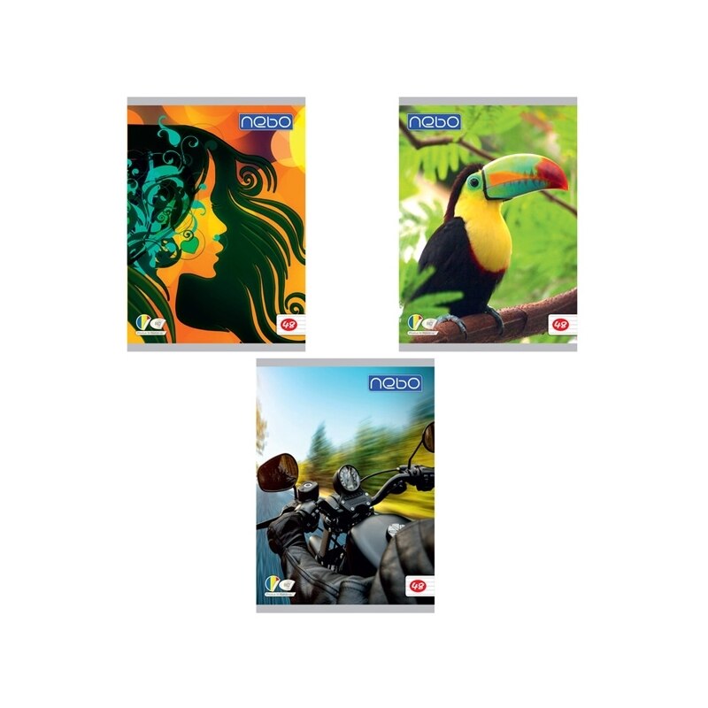 Set 5 Caiete A4 de romana, 48 file, Nebo