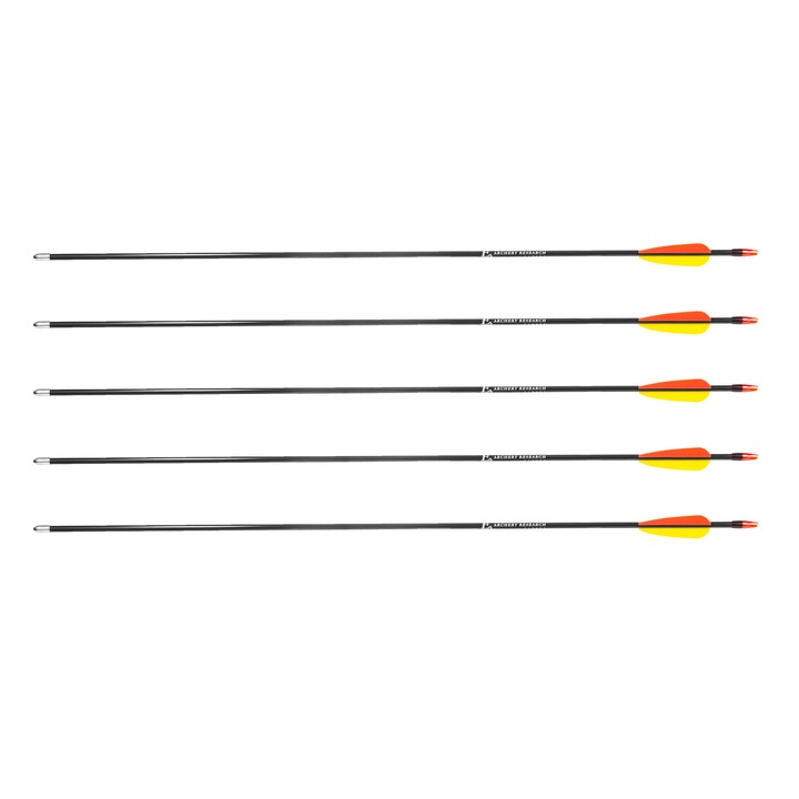 Set 5 sageti, Poe Lang, Sticla, Multicolor