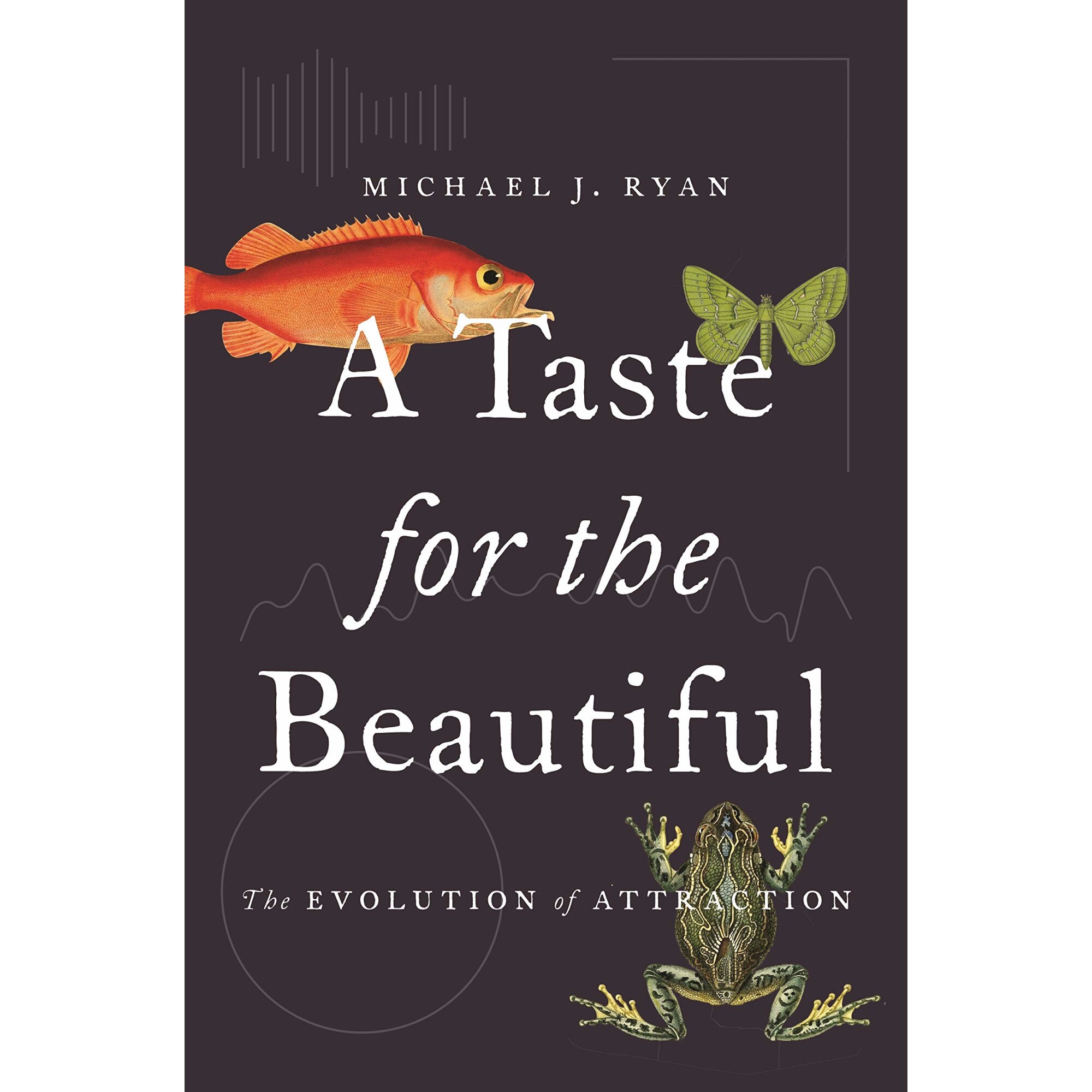 Taste for the Beautiful - Michael Ryan