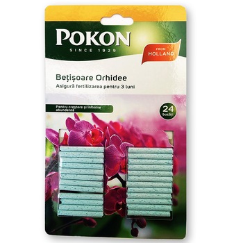 Ingrasamant orhidee betisoare Pokon 24 bucati pentru 3 luni Ingrasamant orhidee betisoare Pokon 24 bucati pentru 3 luni