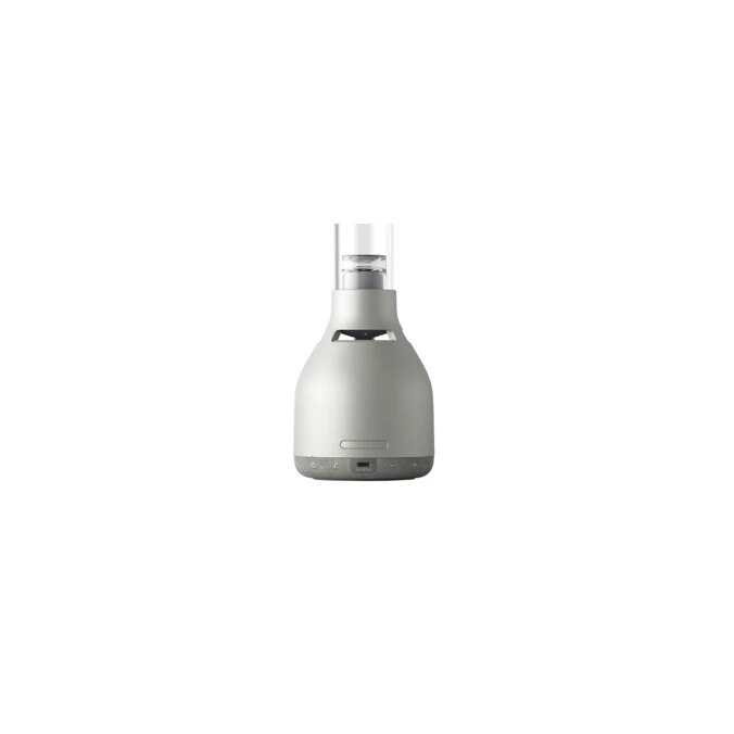 Boxa portabila, Sony, Bluetooth, Argintiu - eMAG.ro