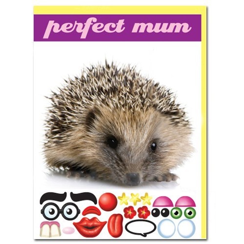 Felicitare amuzanta Little Extra Arici