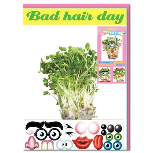 Felicitare amuzanta Little Extra Bad Hair Day (cress)