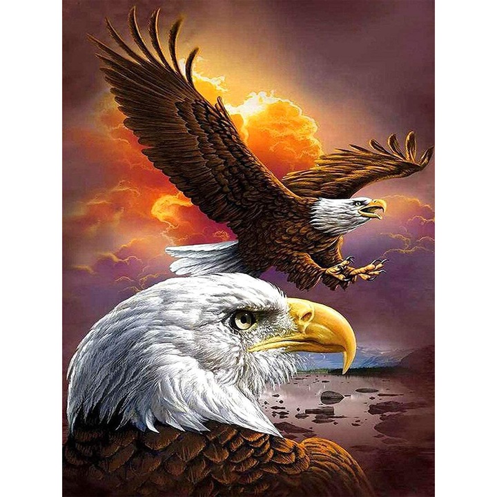 Set de creatie cu diamante 5D, 30 x 40cm, Model vulturi, Multicolor