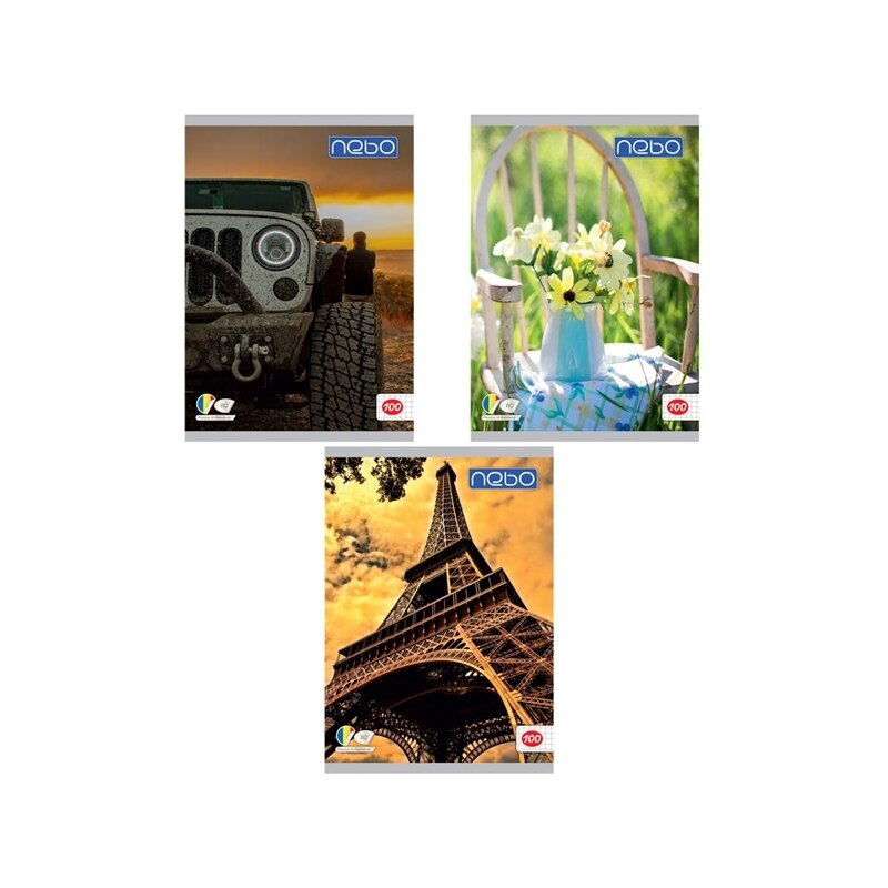 Set 5 Caiete A4 de matematica, 100 de file, Nebo