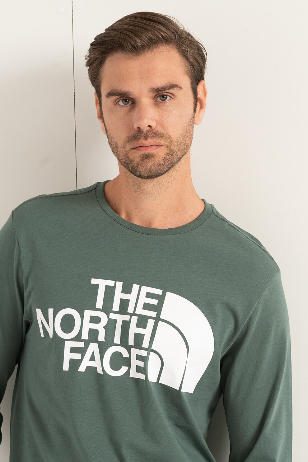 The North Face, Bluza cu logo Standard, Verde feriga, M