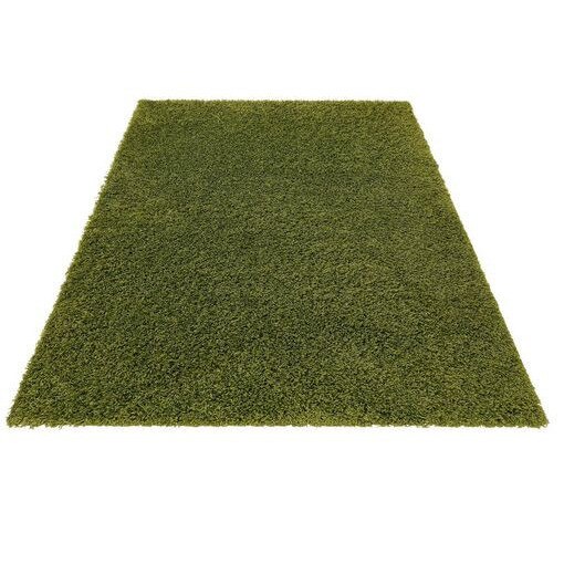 Covor Shaggy 50 by Bruno Banani, verde, 240 x 320 cm