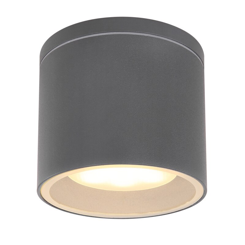 Plafoniera Exterior Alcala Globo, 32063A, Antracit, 1xGX53