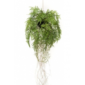 Planta artificiala suspendata cu radacini tip feriga Emerald, Polietilena, 35 cm, Verde Planta artificiala suspendata cu radacini tip feriga Emerald, Polietilena, 35 cm, Verde