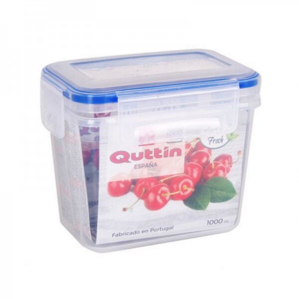 Caserola din plastic cu capac ermetic, QUTTIN, 1000 ml