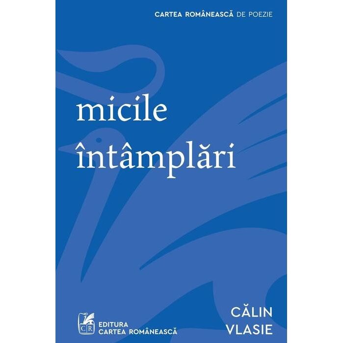 Micile intamplari, Calin Vlasie