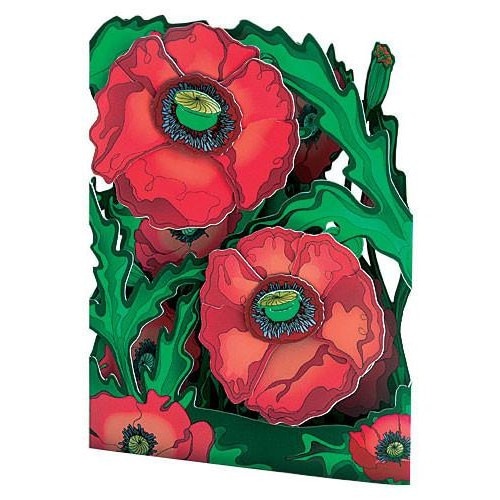 Felicitare 3D Maci-Swing Cards