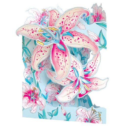 Felicitare 3D Crini-Swing Cards