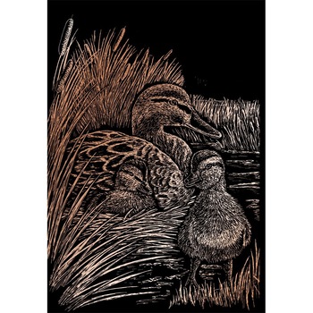 Set gravura pe folie din cupru - Rate Set gravura pe folie din cupru - Rate