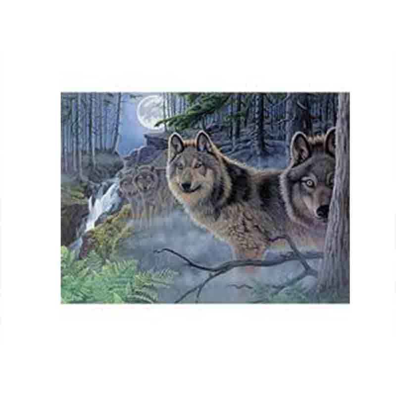 Set pictura pe numere adulti, Royal Langnickel, 39 – Mystical Moonlight