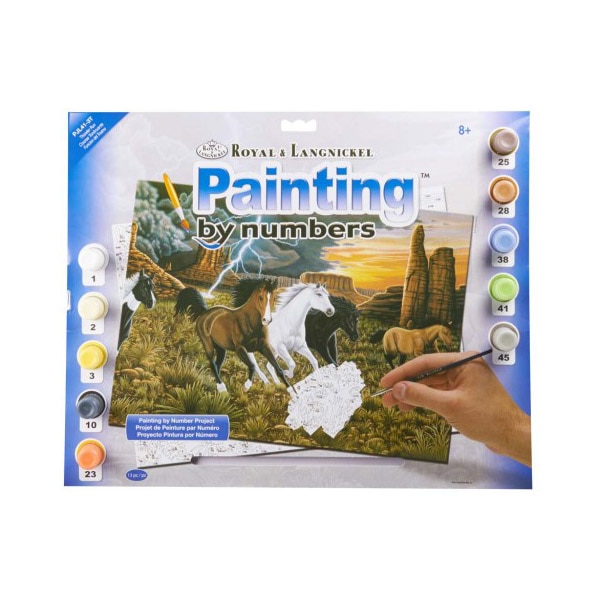 Set pictura pe numere, Royal Langnickel, 41 – Fuga de fulger, 33 x 40cm