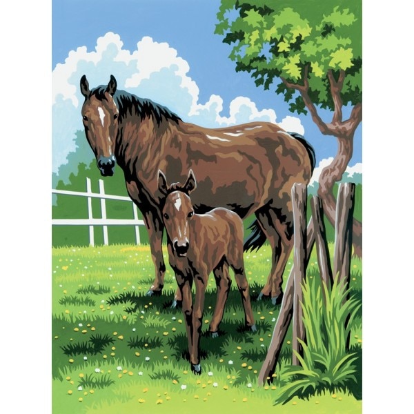 Set pictura pe numere, Royal Langnickel, 21 – Mare & Foal