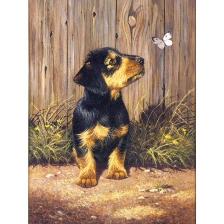 Set pictura pe numere, Royal Langnickel, 51 – Dachshund Puppy