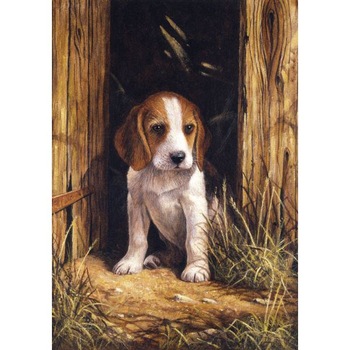 Set pictura pe numere, Royal Langnickel, 58 – Catelus Beagle Set pictura pe numere, Royal Langnickel, 58 – Catelus Beagle