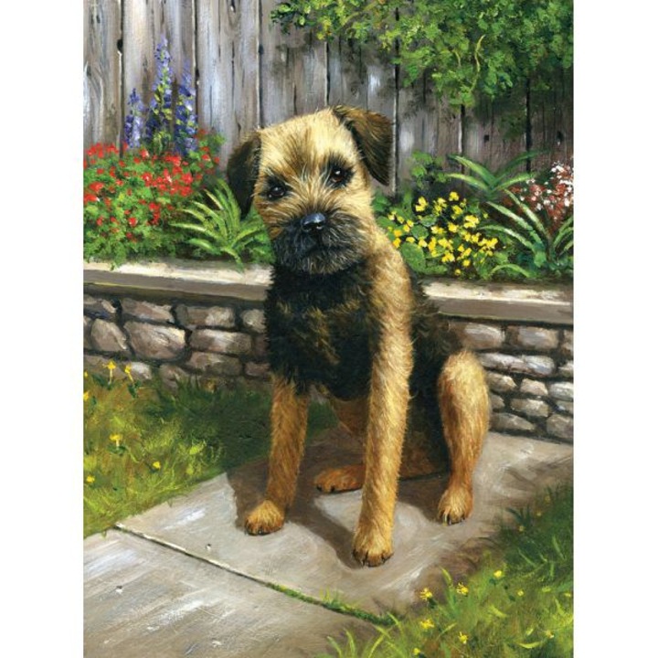 Set pictura pe numere, Royal Langnickel, 61 – Catelus in gradina, 30 x 23cm