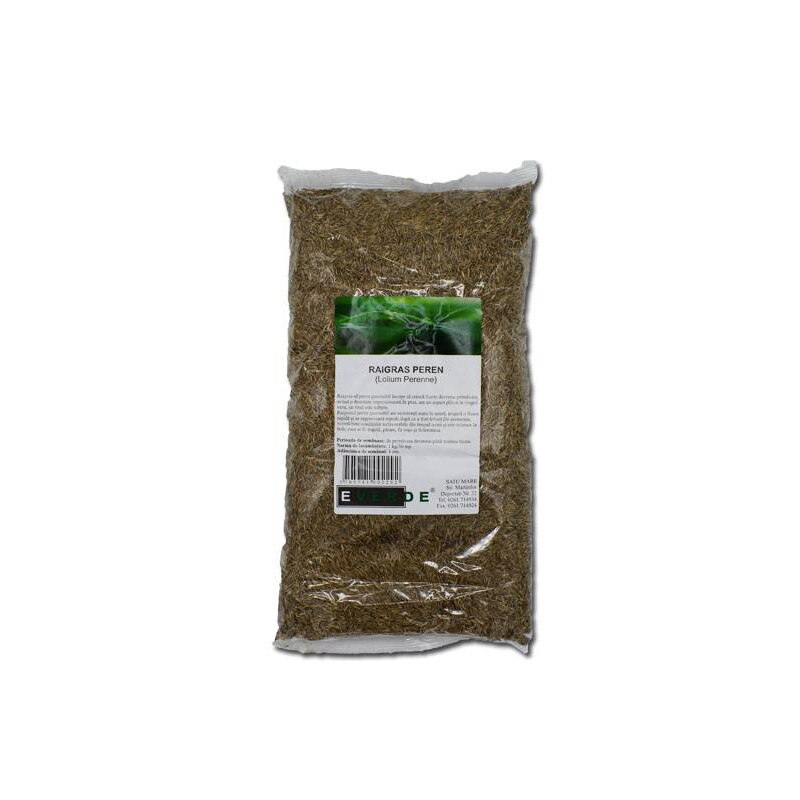 Seminte de Lolium Capri, 1 kilogram