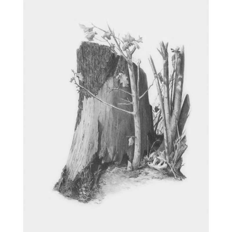 Set schite, Royal Langnickel, 09 – Tree Stump